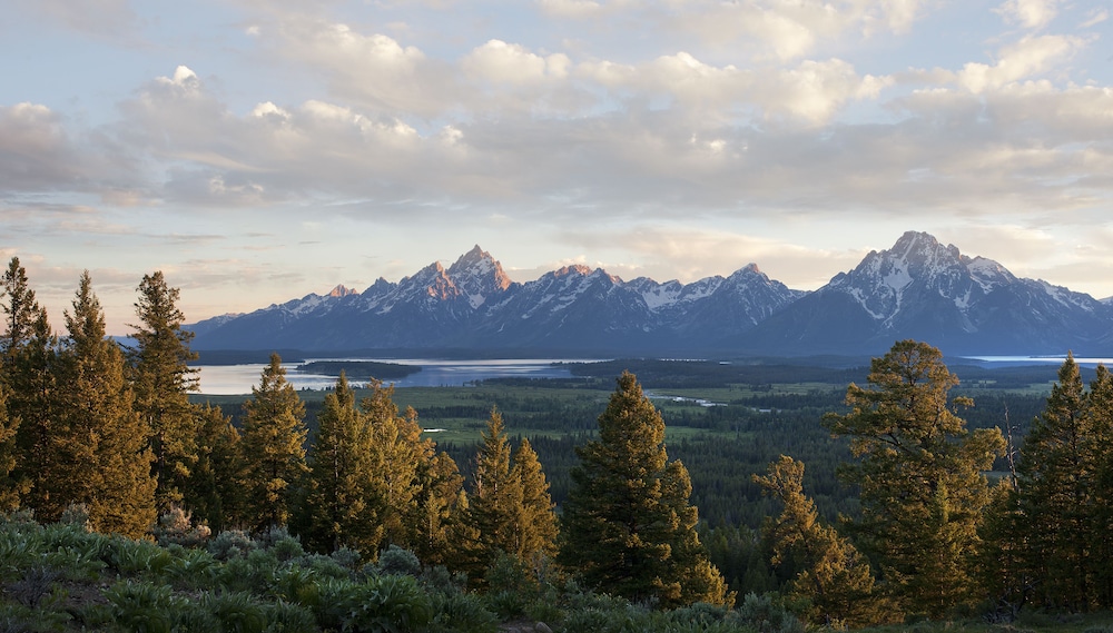 Jackson Lake Lodge 34/48