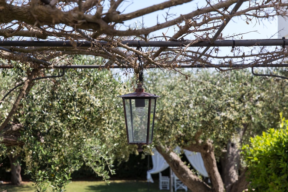 Tenuta Vigna Corallo 33/50