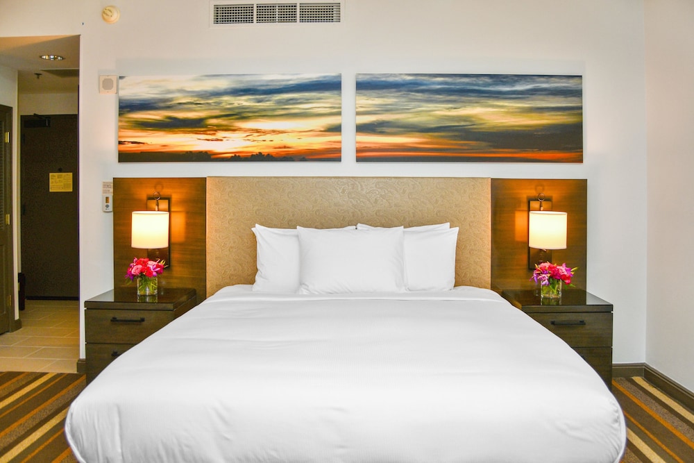 Hilton Dallas Park Cities 23/81