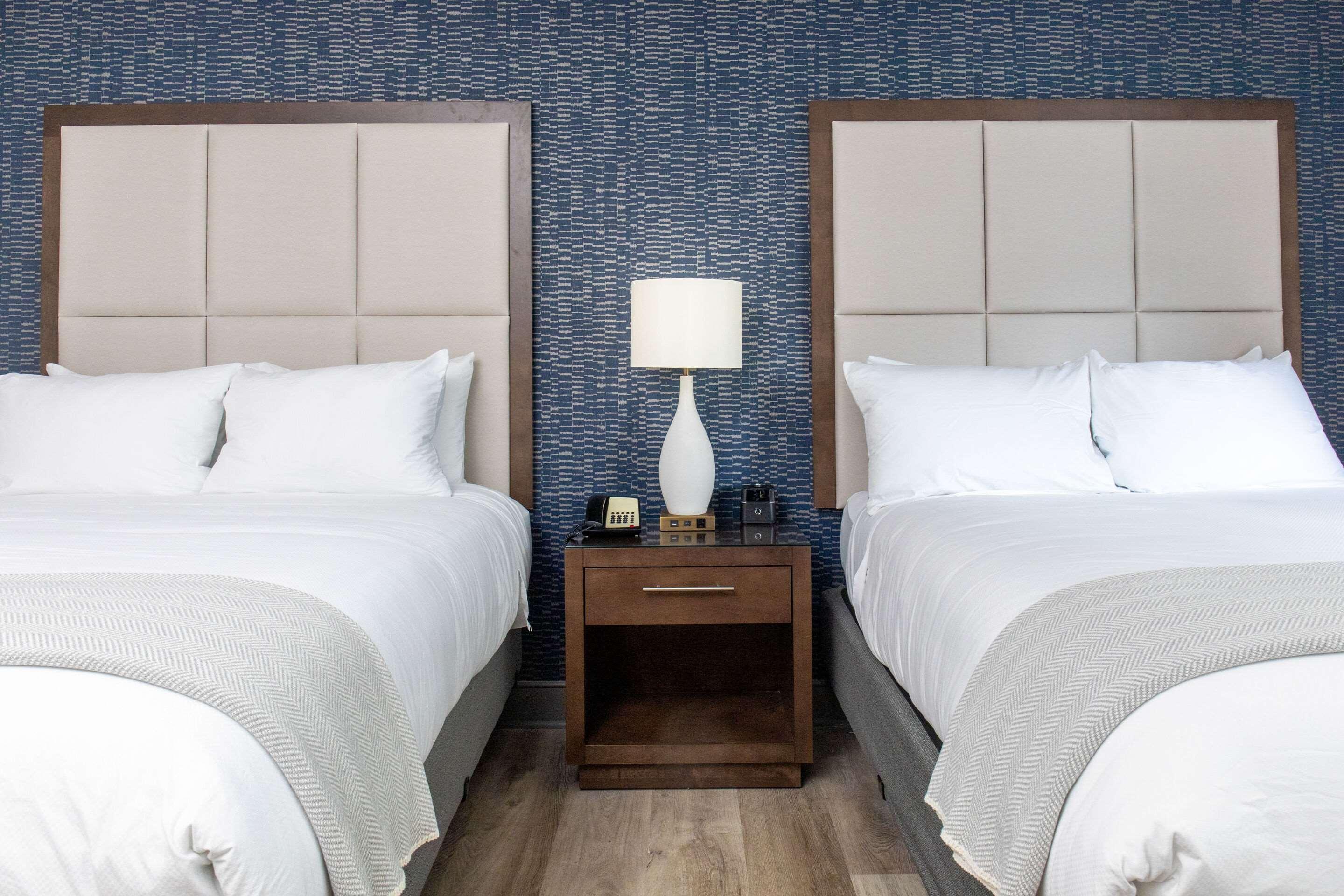 جناح بسريرين كوين، Haywood Park Hotel, Ascend Hotel Collection 3/4