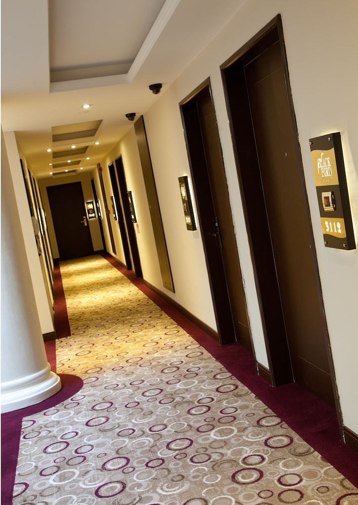 Blackbird Thermal Hotel And Spa 20/50