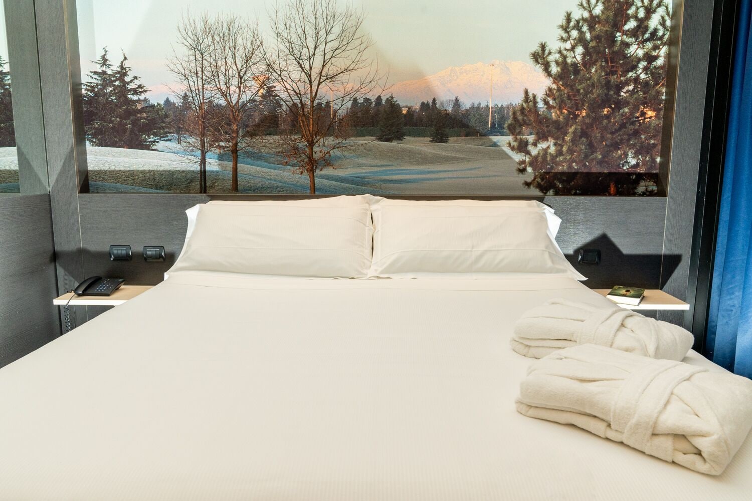 1 Bedroom, Standard, Double Bed, Garden View, Hotel Pineta 4/6