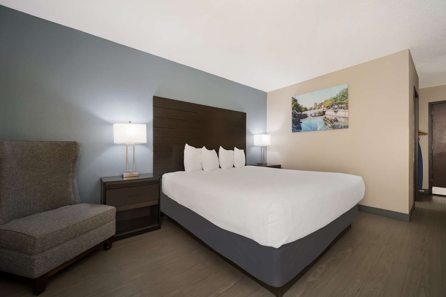 Room, King Bed