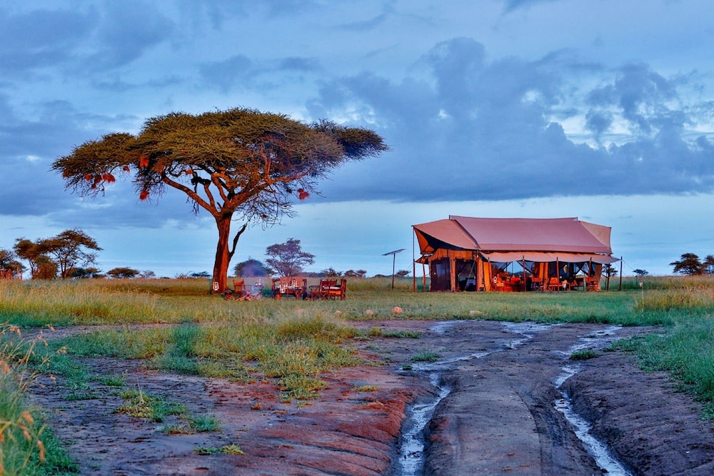 Pumzika Classic Safari Camp 53/54