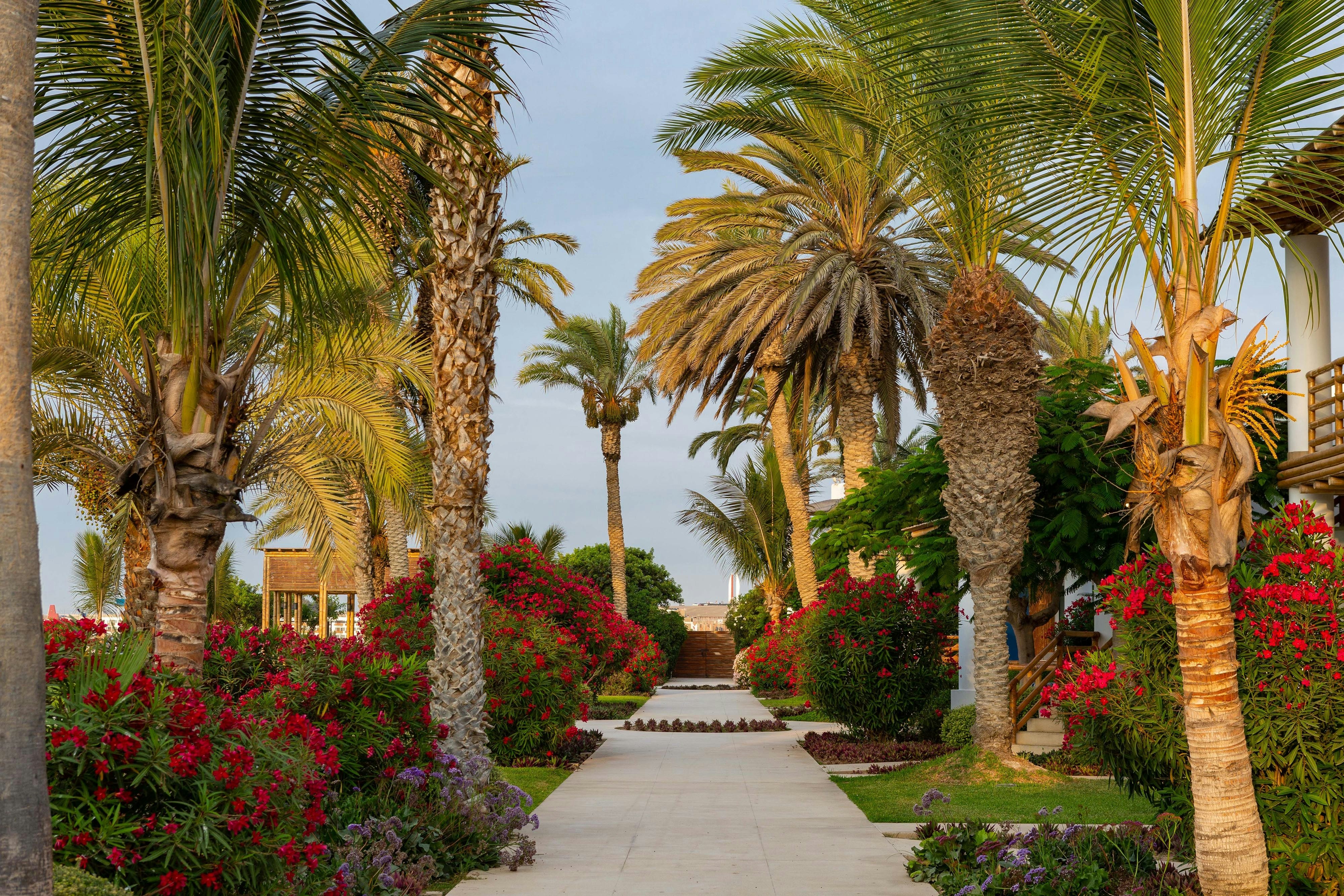 Hotel Paracas, a Luxury Collection Resort, Paracas 77/81