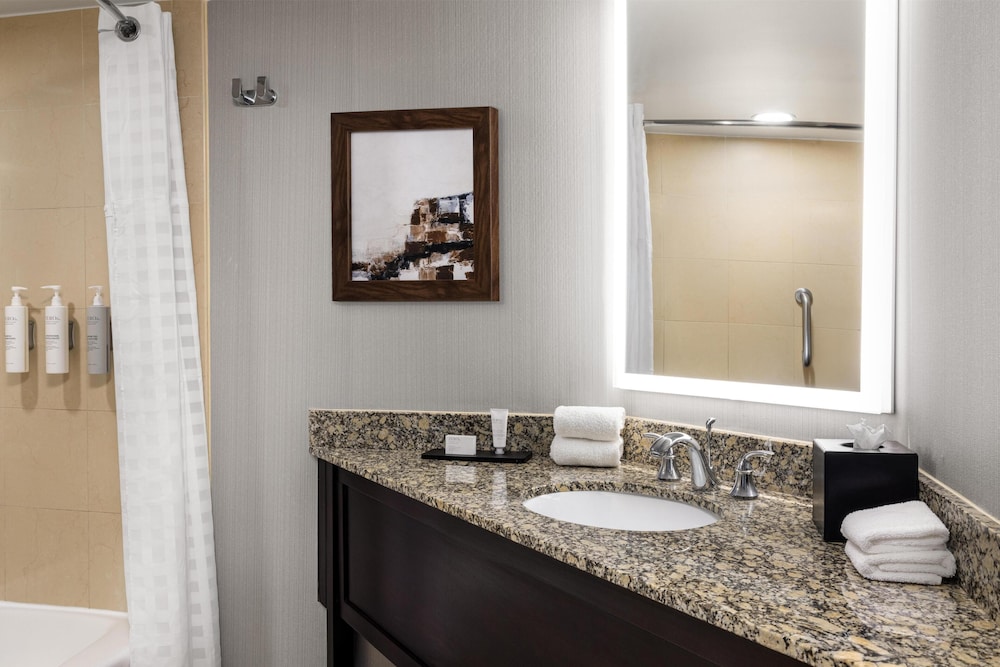 Suite, King Bed, Allergy Friendly, Accessible 6/9