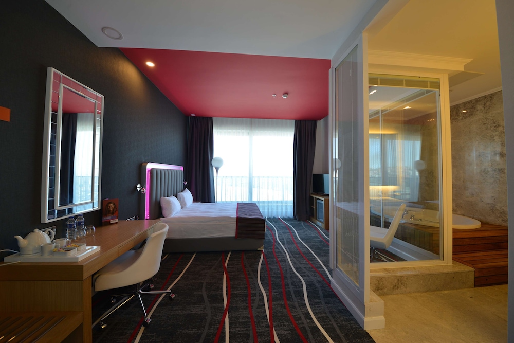 PARK INN BY RADISSON ANKARA CANKAYA 29/63