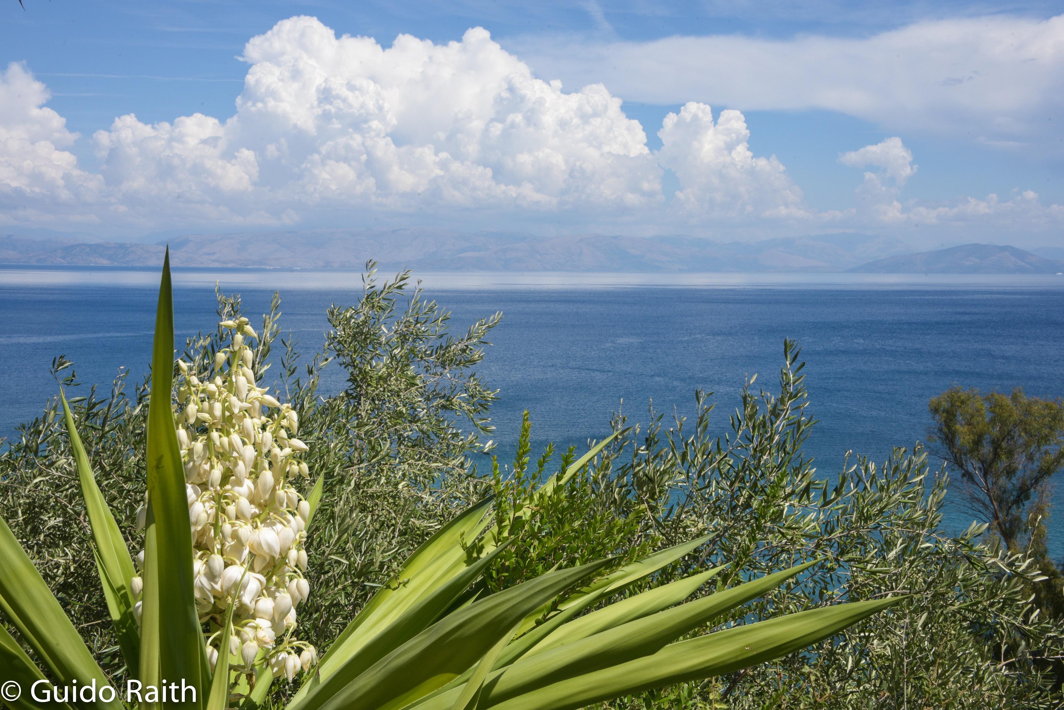 Ionian View Studios 10/11
