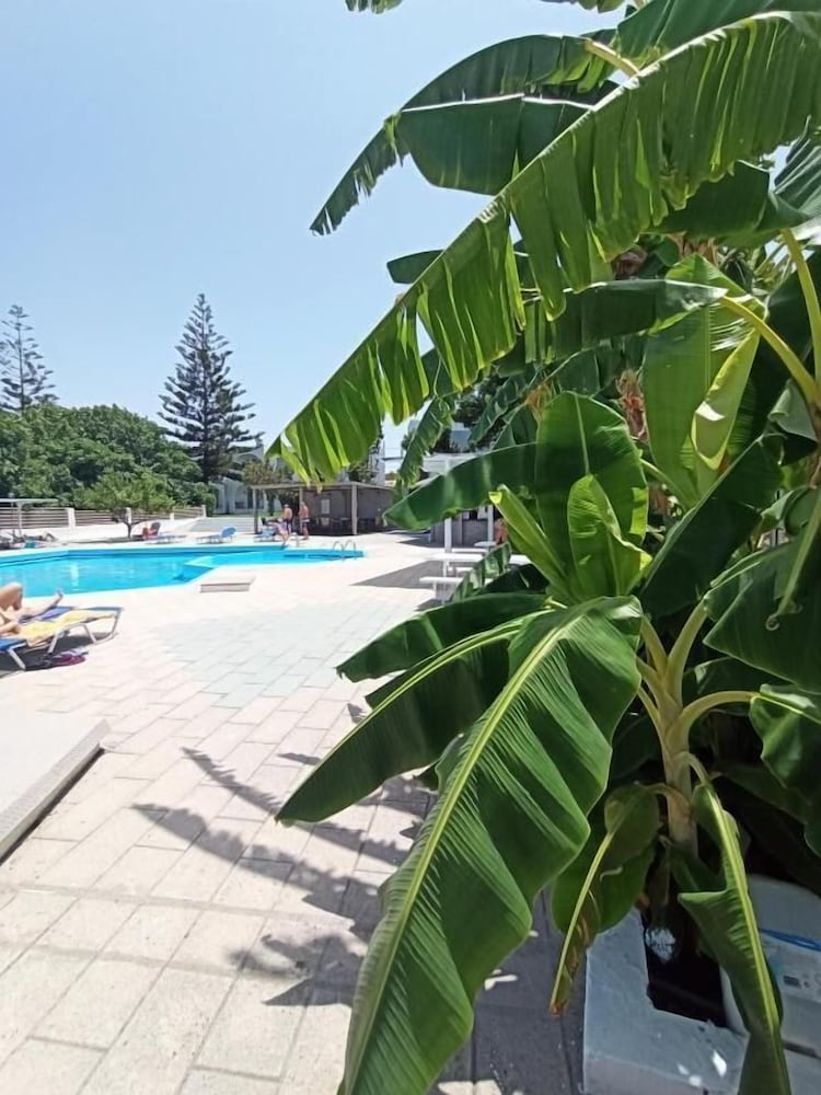 Summer Dream Hotel By Anayia All Inclusive Resorts 40/50
