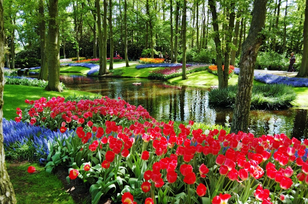 Tulip Inn Leiden Centre 57/64