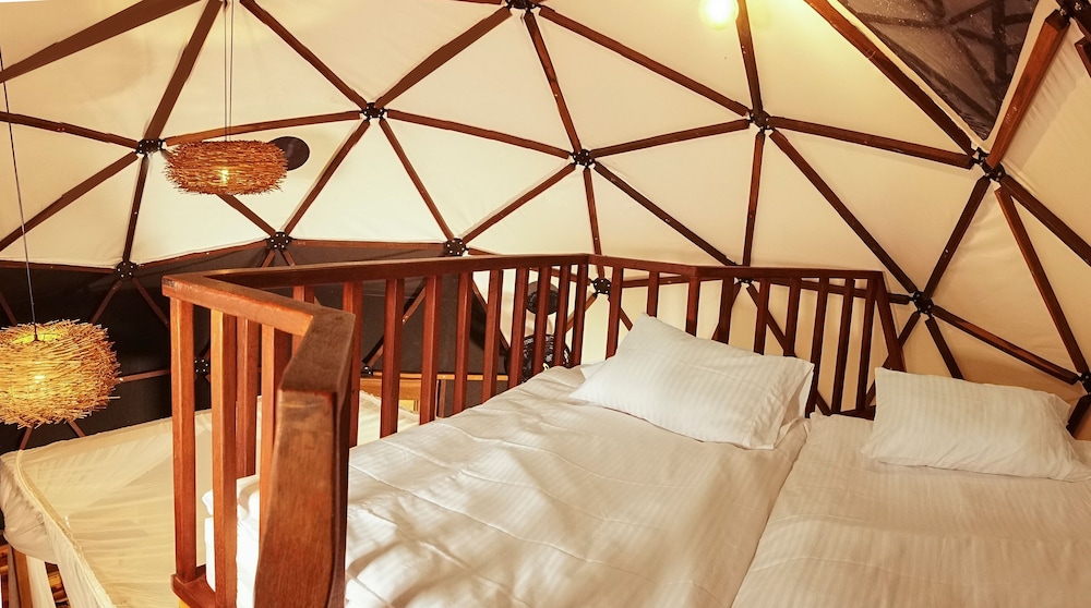 Trekker Glamping 写真3