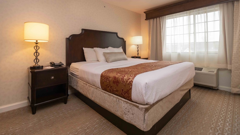 Best Western Plus Vineyard Inn & Suites 16/51
