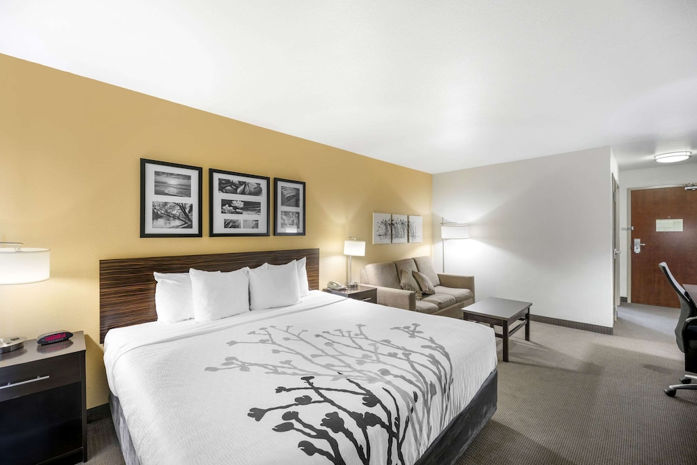 Suite, King Bed, Sofa