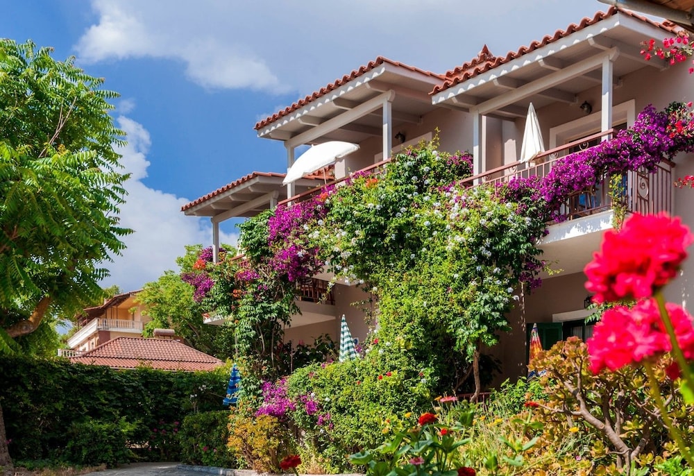 Lemonia Accommodations酒店(Lemonia Accommodations) 图片5