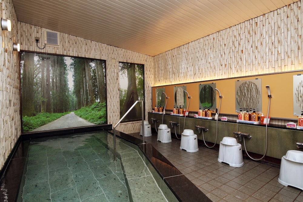 Kinugawa Kokusai Hotel 17/50