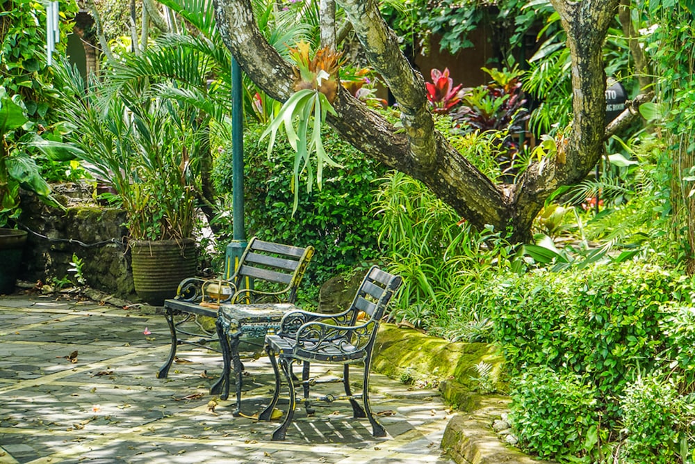 Jogja Village 41/50