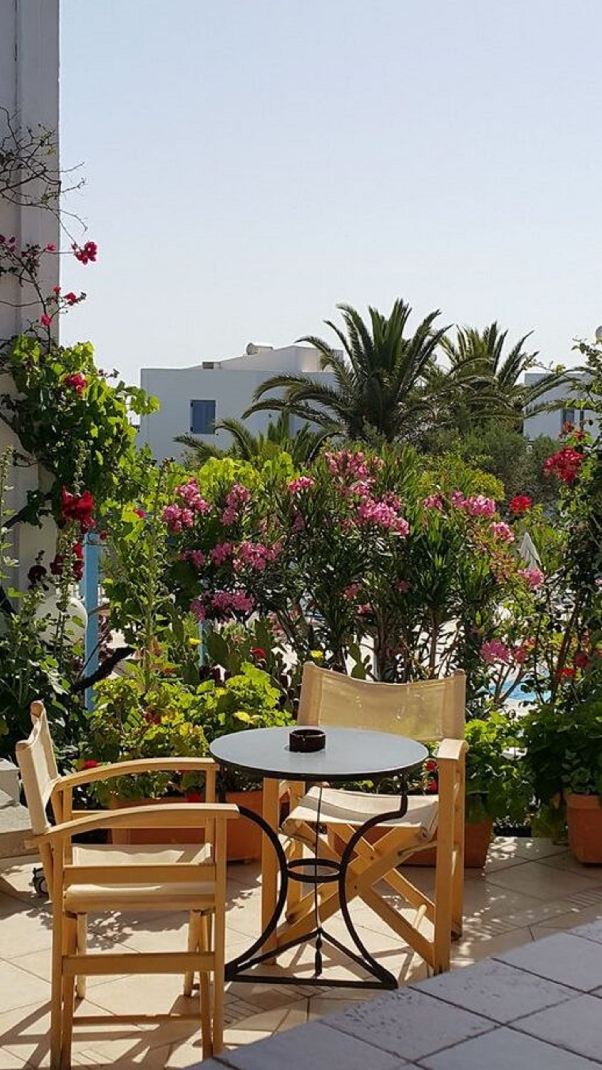 Palatia Village Apartments 3/21
