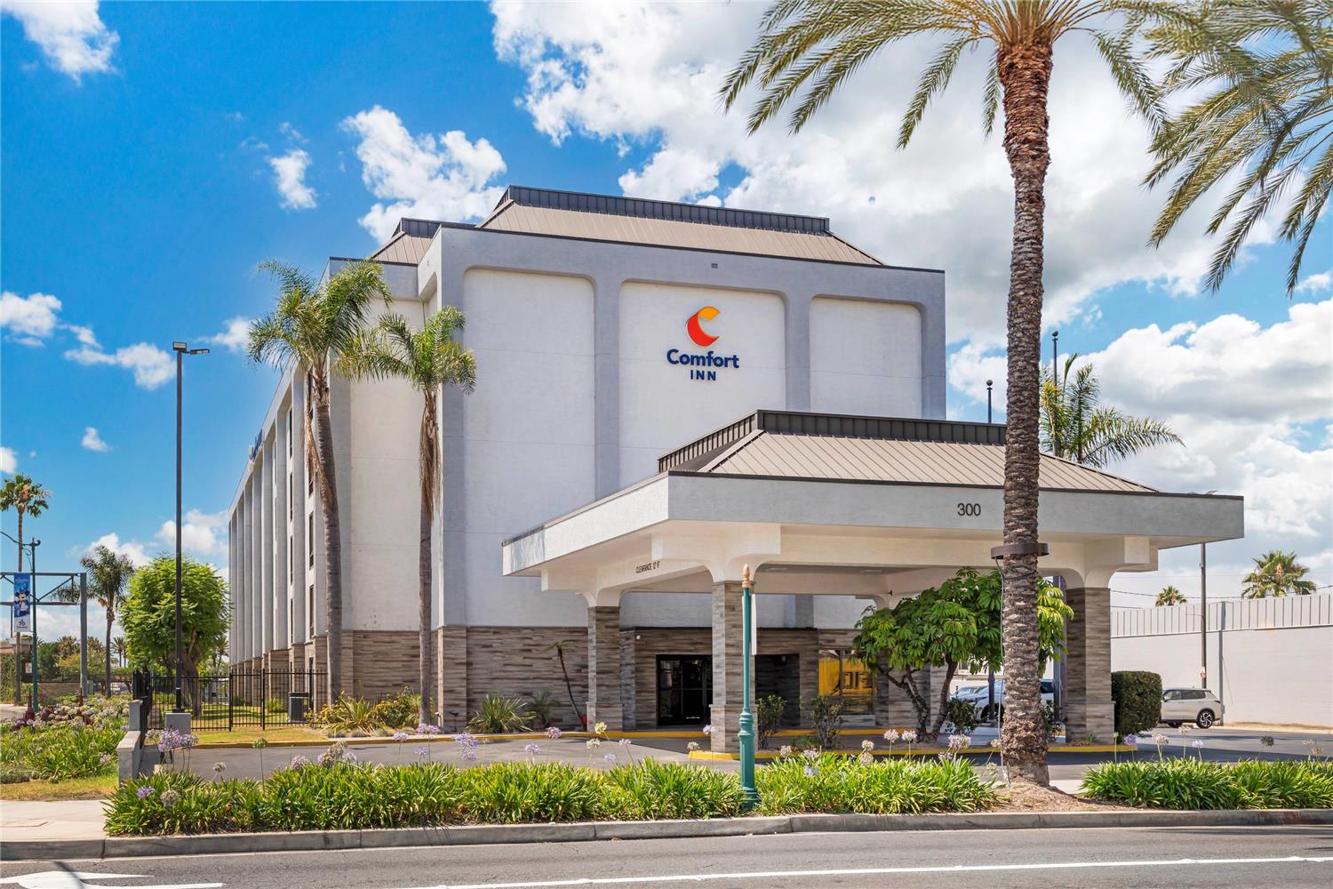 凯富酒店Anaheim度假村(Comfort Inn Anaheim Resort) 图片3