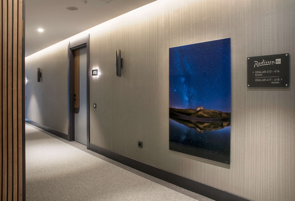 Radisson Blu Hotel Mount Erciyes 34/68