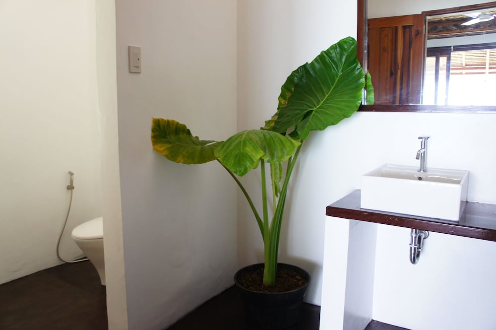 Siargao Inn Beach Resort 50/50
