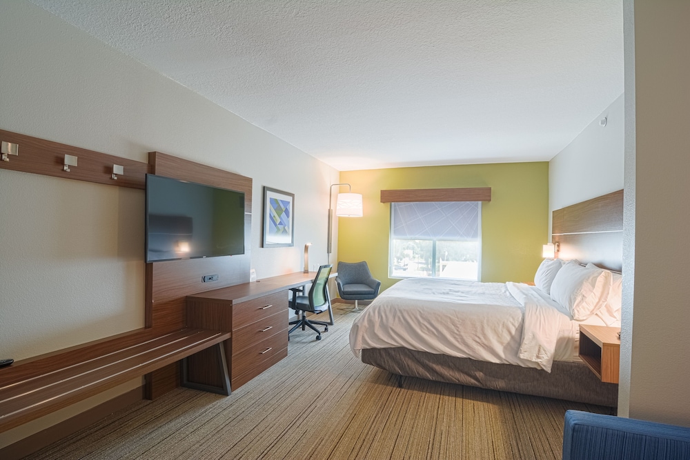 Holiday Inn Express Hotel Suites Tampa Usf Busch Gardens 19/70
