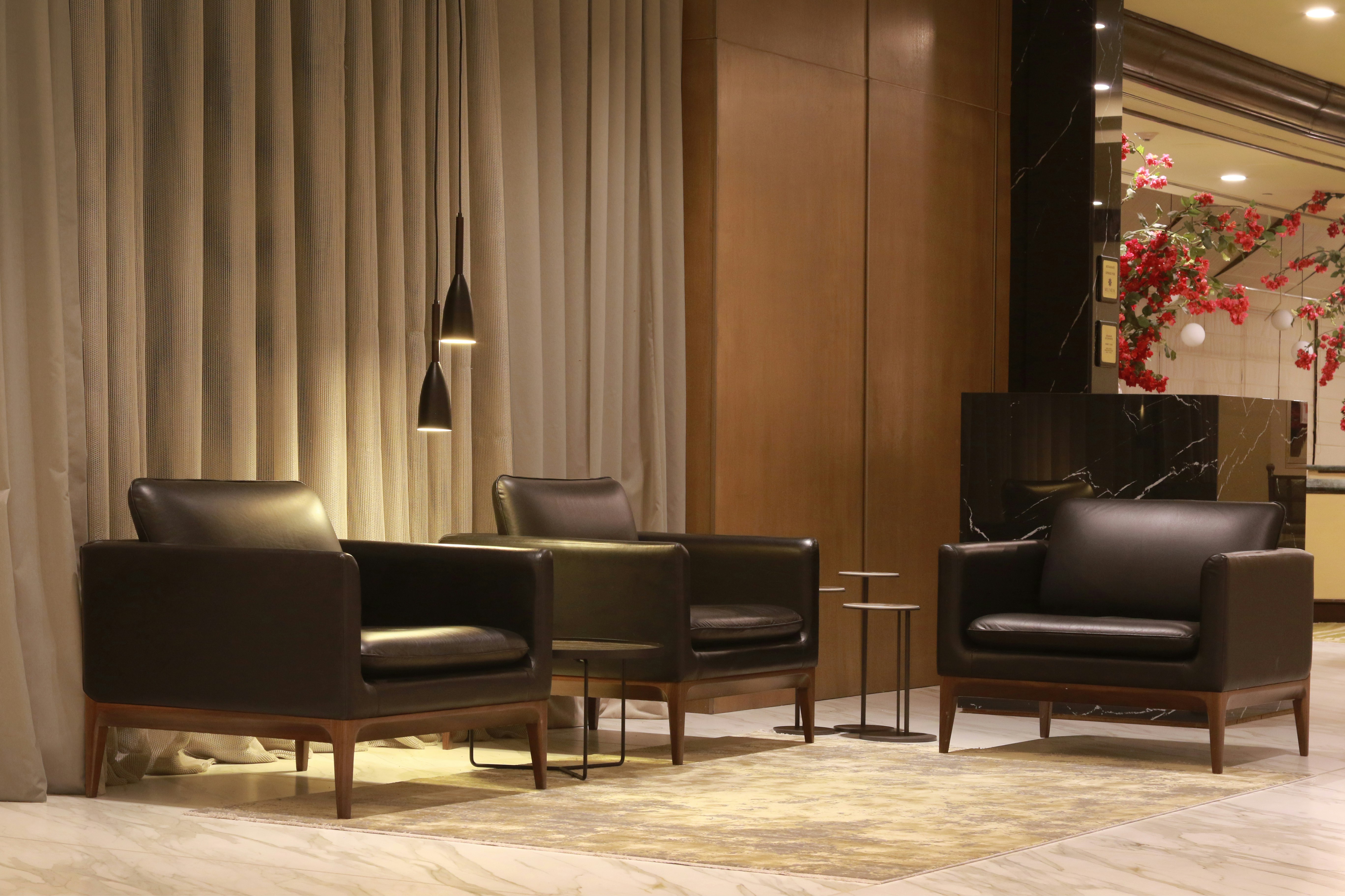 MS Milenium Monterrey Curio Collection by Hilton 49/77