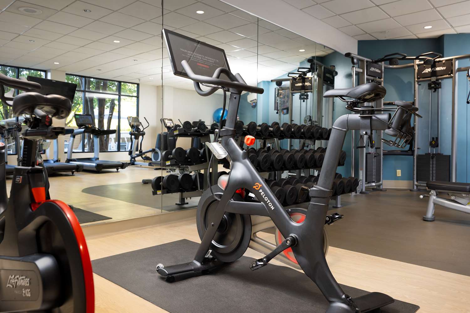 Doubletree By Hilton Houston Medical Center Hotel And Suites 16/30