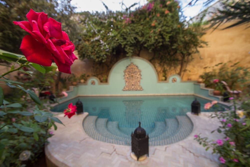 Riad Norma 43/50