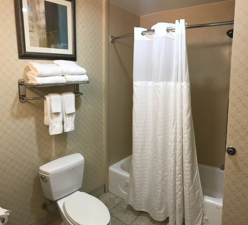 Comfort Suites Olive Branch - Memphis South 12/43