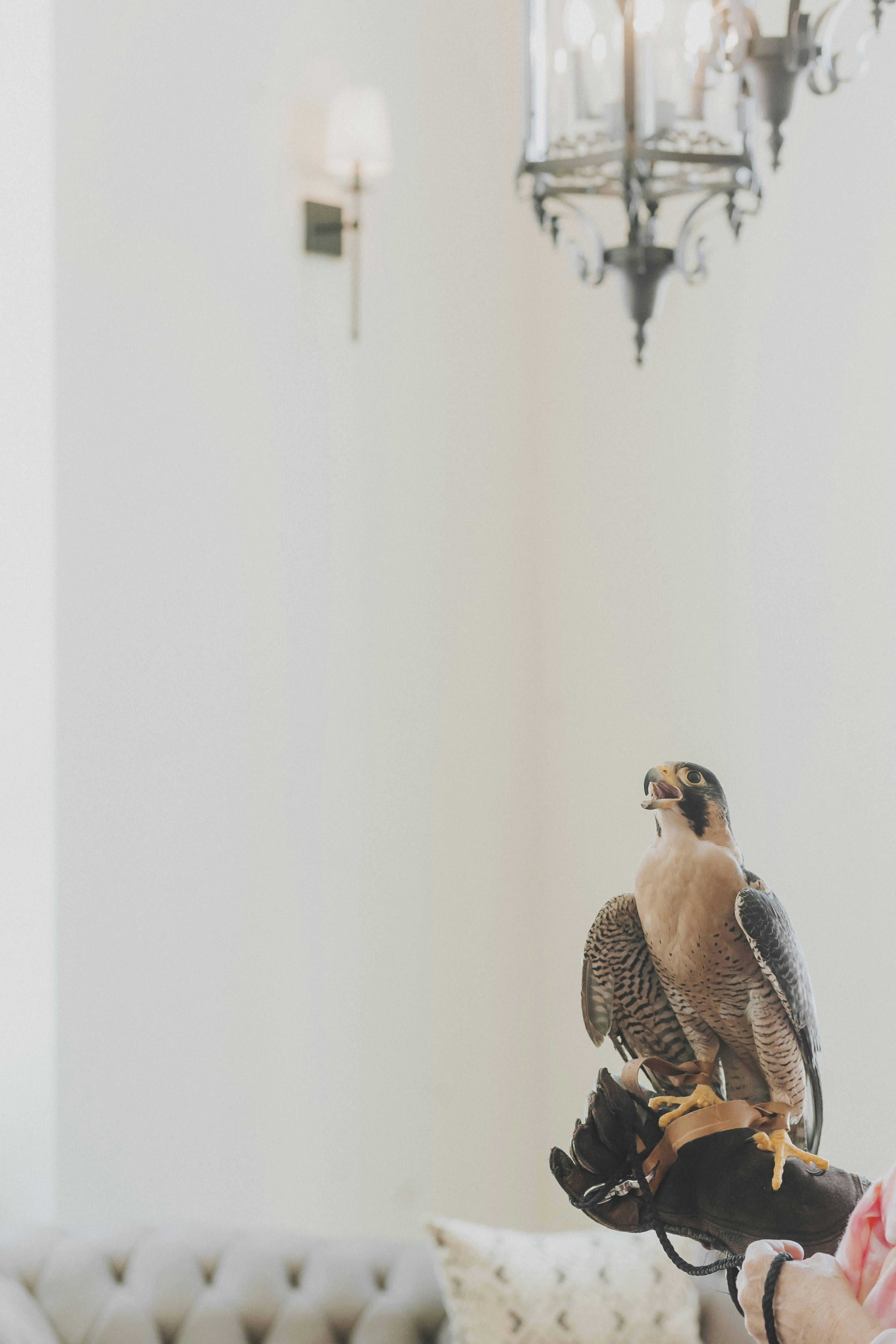 The Peregrine Omaha Downtown Curio Collection By Hilton 50/50