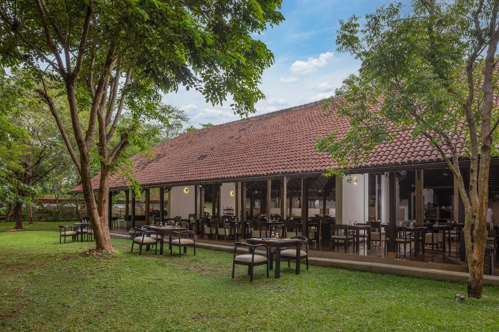 Sigiriya Jungles 45/50