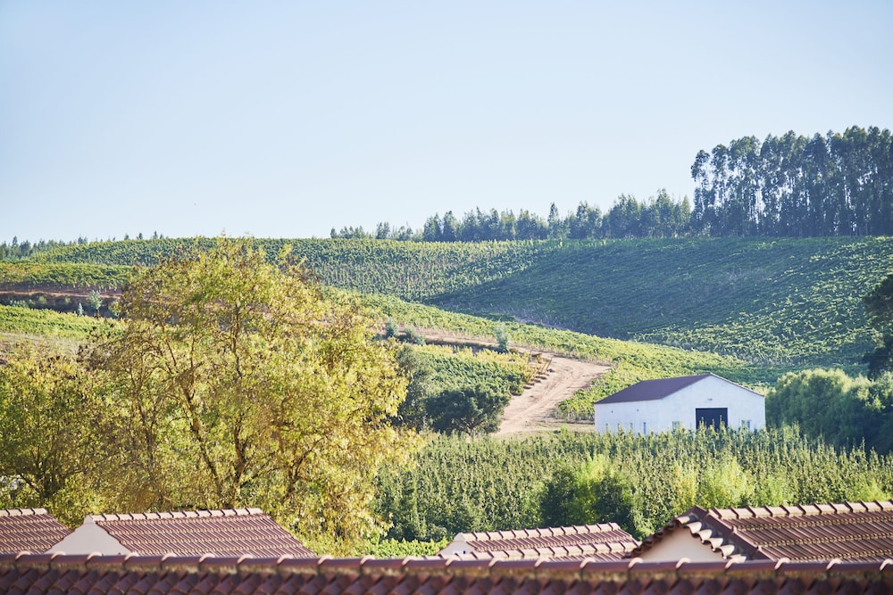 Quinta do Porto Nogueira by Romana Vini 35/50