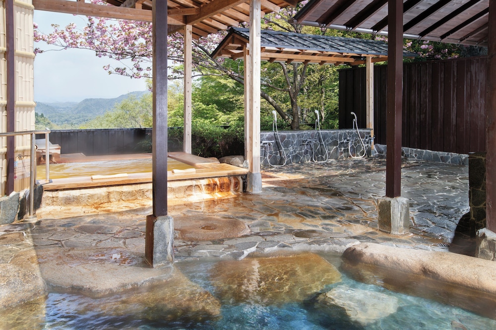 Arima Onsen Motoyu Ryuusenkaku 15/49