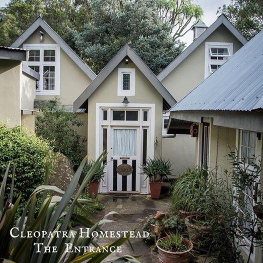 Cleopatra Mountain Farmhouse 16/18