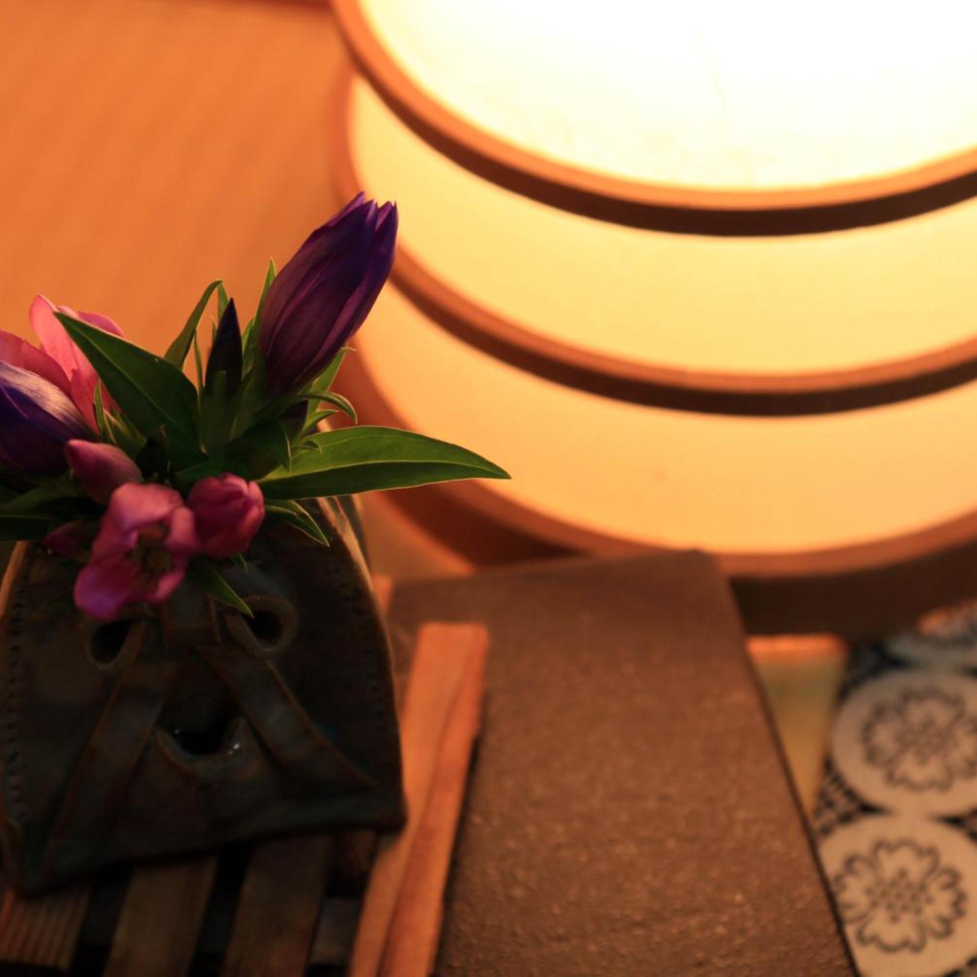 YANAGIYA 11/50