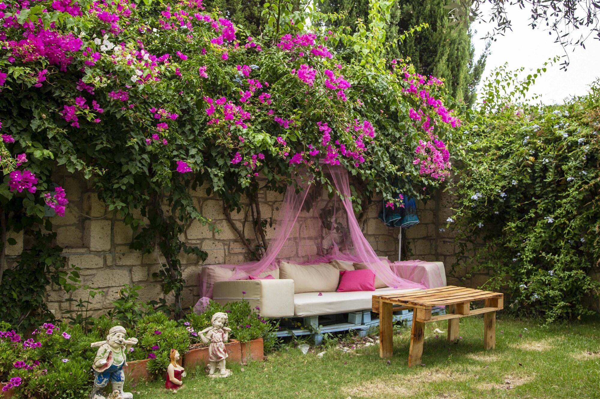 Asma Han Hotel 39/44
