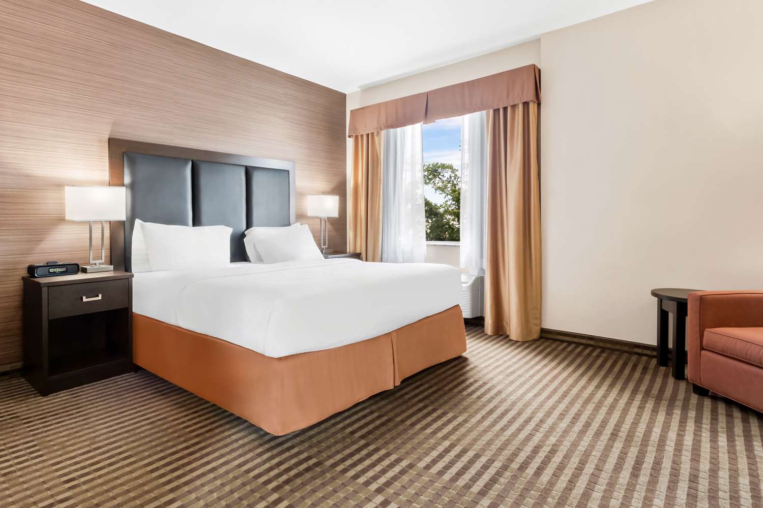 Suite, King Bed, Sofa, Accessible