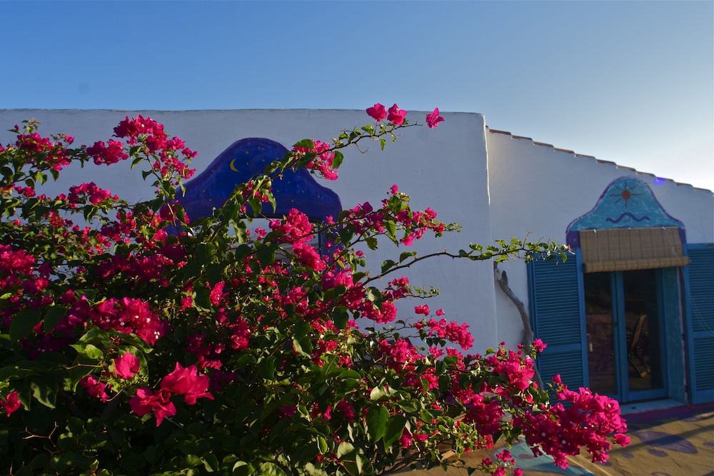 Poecylia Resort 37/39