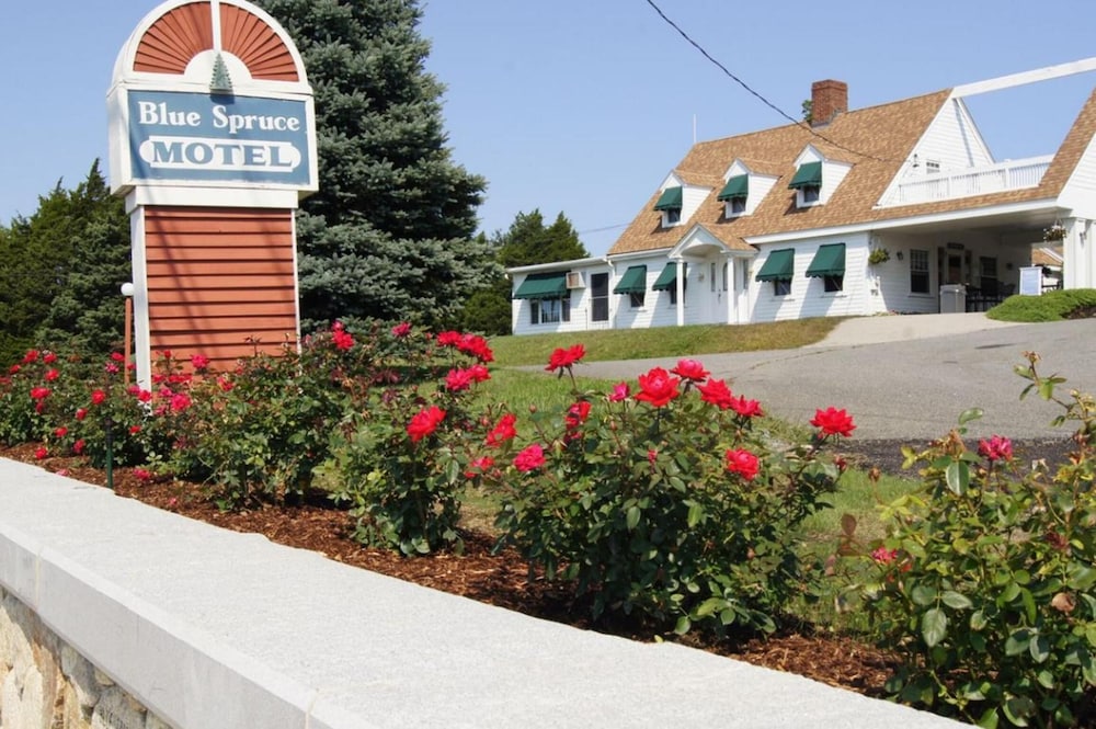 Blue Spruce Motel & Townhouses 42/43