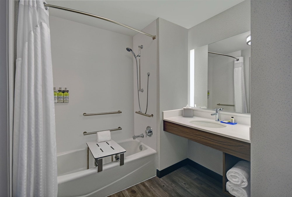 Holiday Inn Express Houston - Galleria Area 23/59