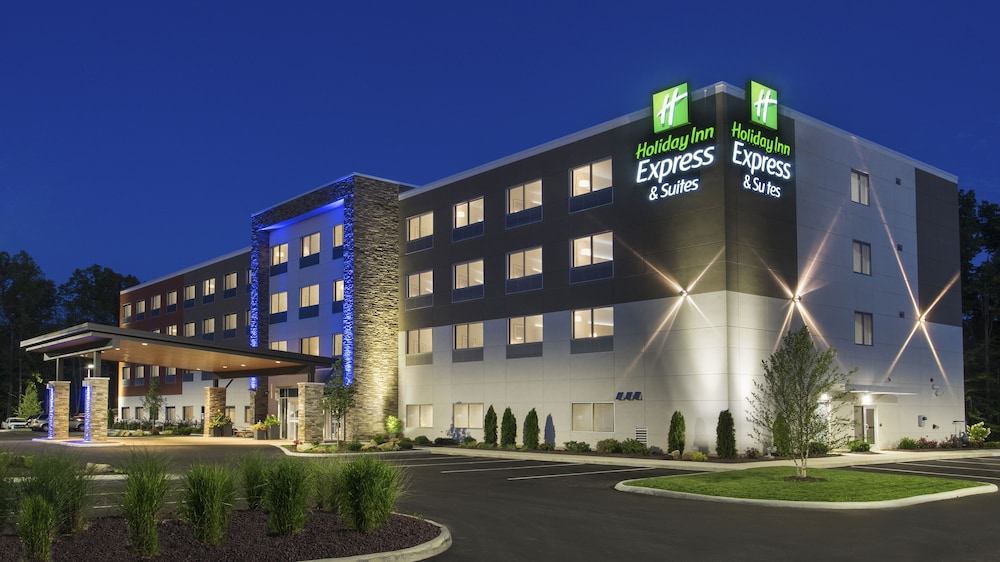 Holiday Inn Express Suites Medina 1/46