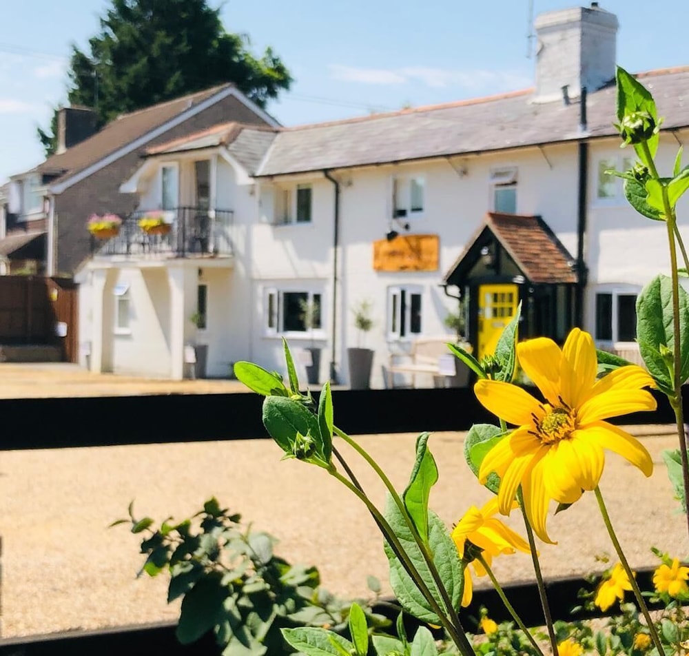 Cottage Lodge Hotel 42/50