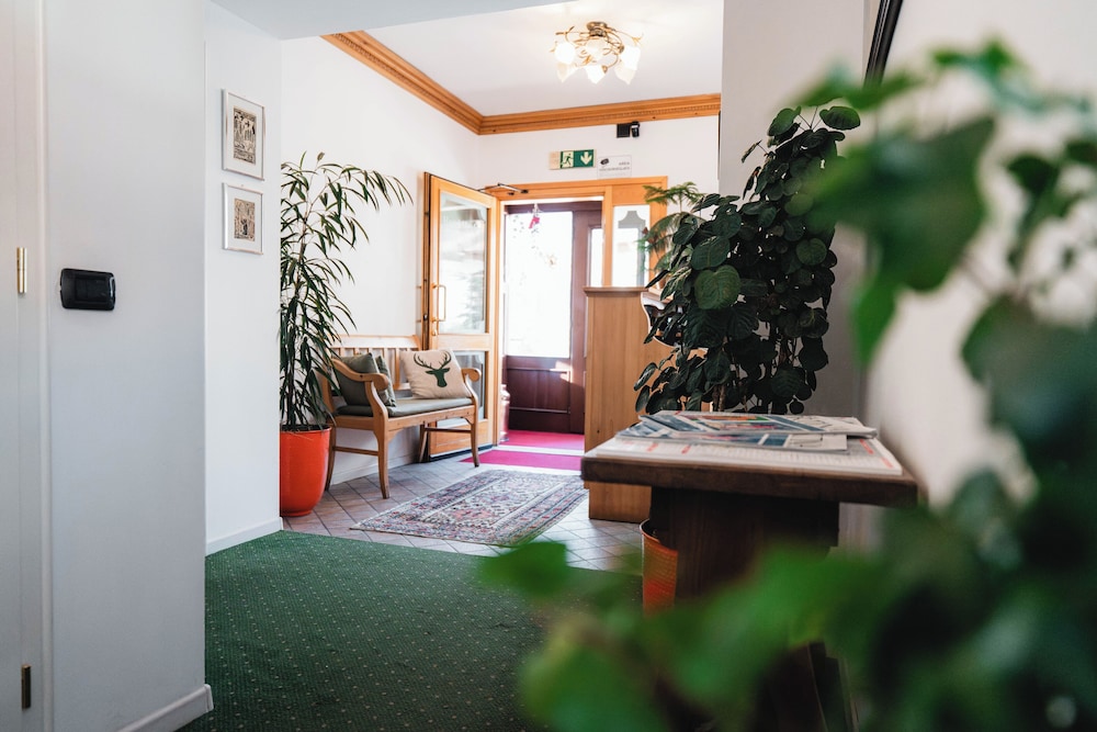 Hotel Oasi 34/50