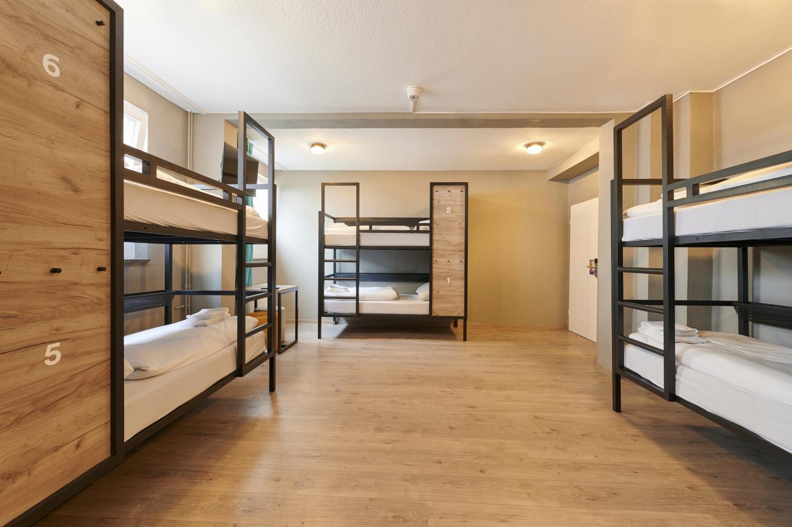 MIXED DORM, 8 BEDS
