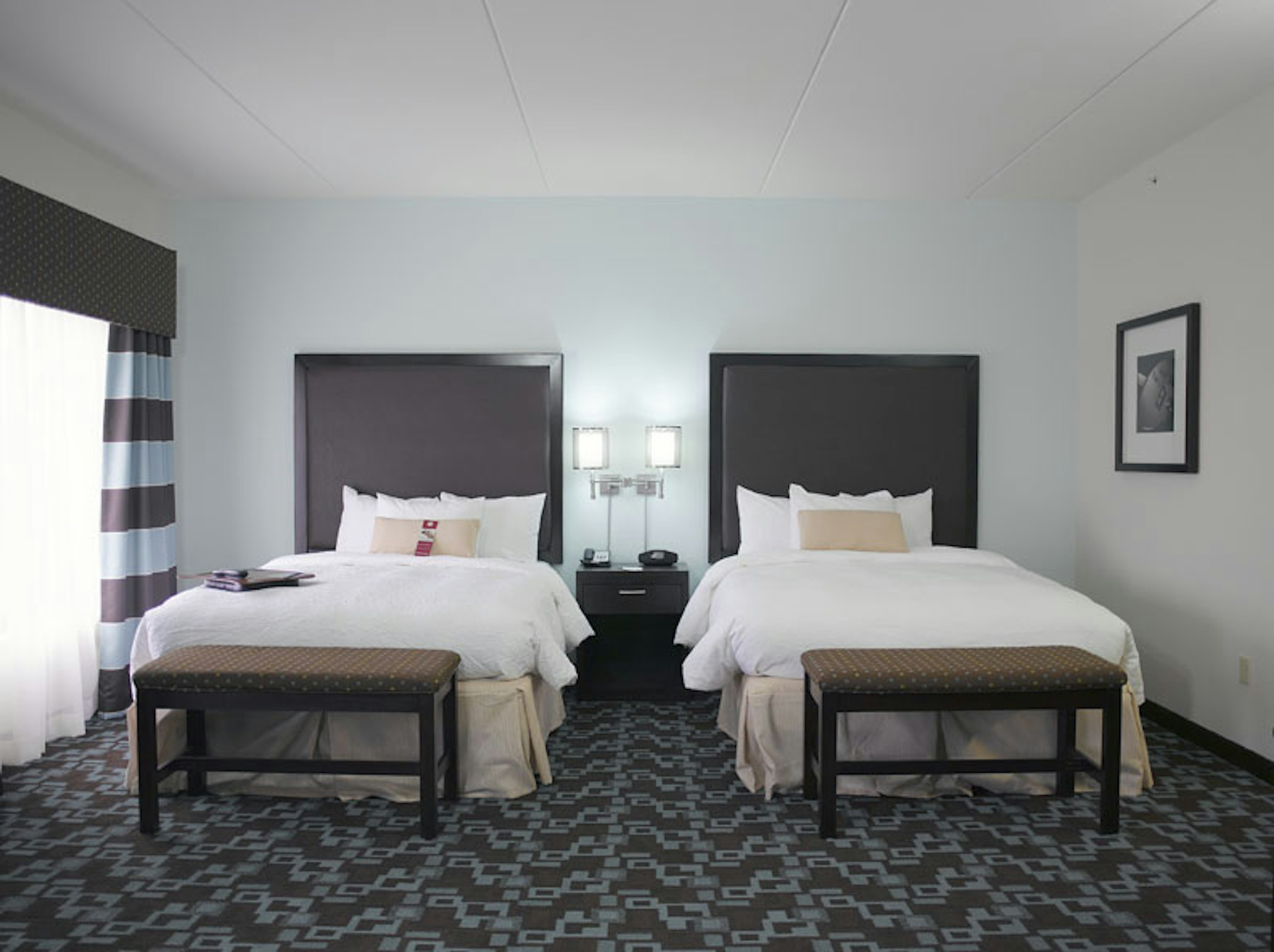 STUDIO, SUITE, 2 QUEEN BEDS