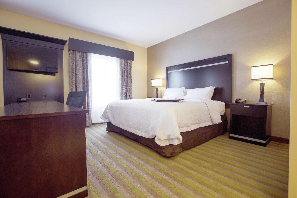 Studio, King Bed, Sofa, Accessible
