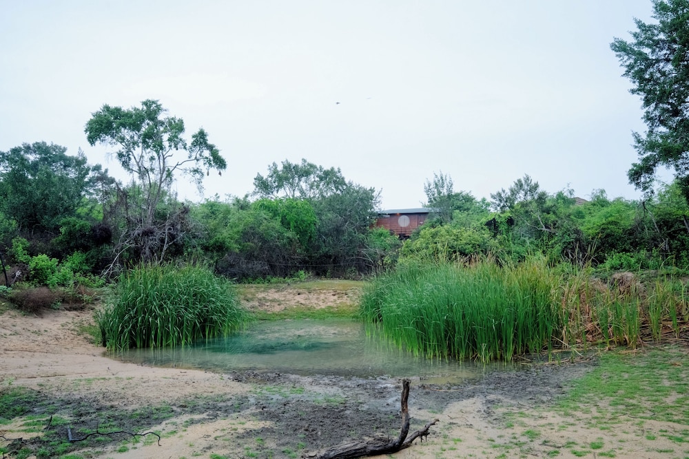 Leopard Nest Luxury Campsite 43/50