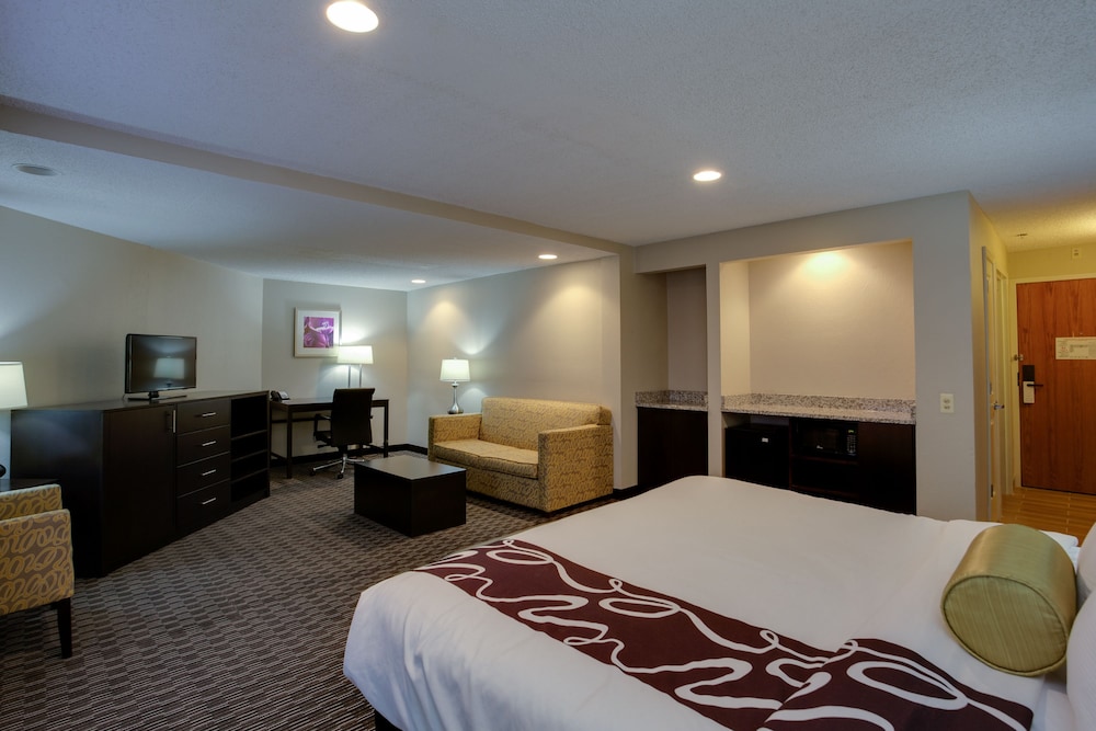 La Quinta Inn & Suites by Wyndham Detroit Metro Airport 10/55