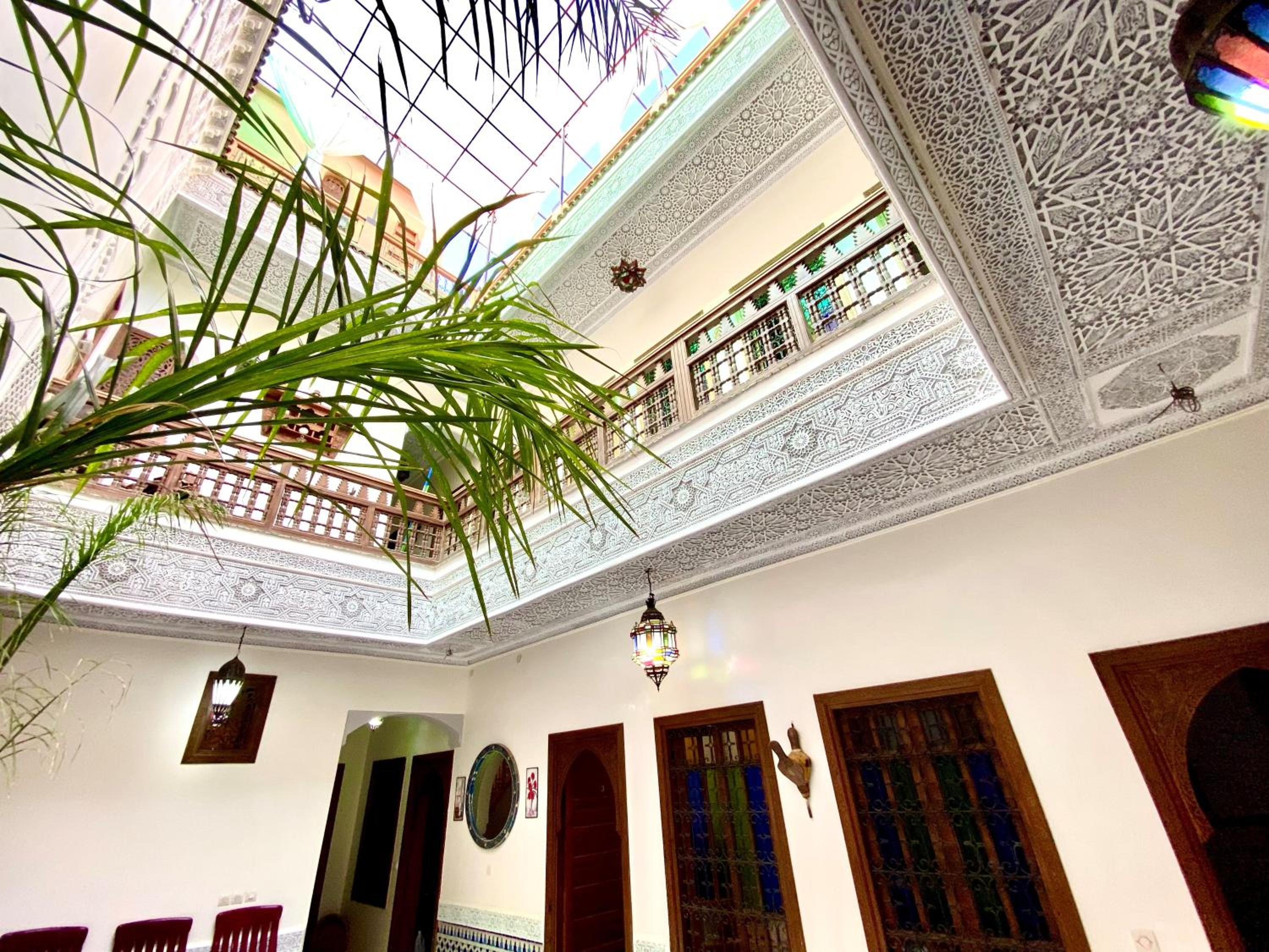 Riad Nouhal photo2