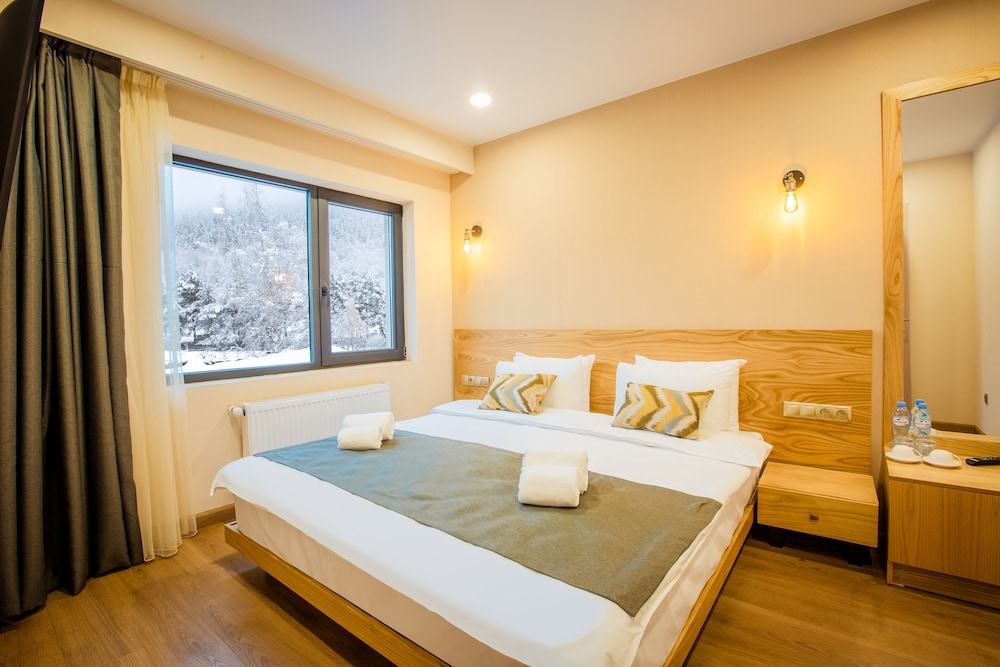 Bakuriani Inn 9/38